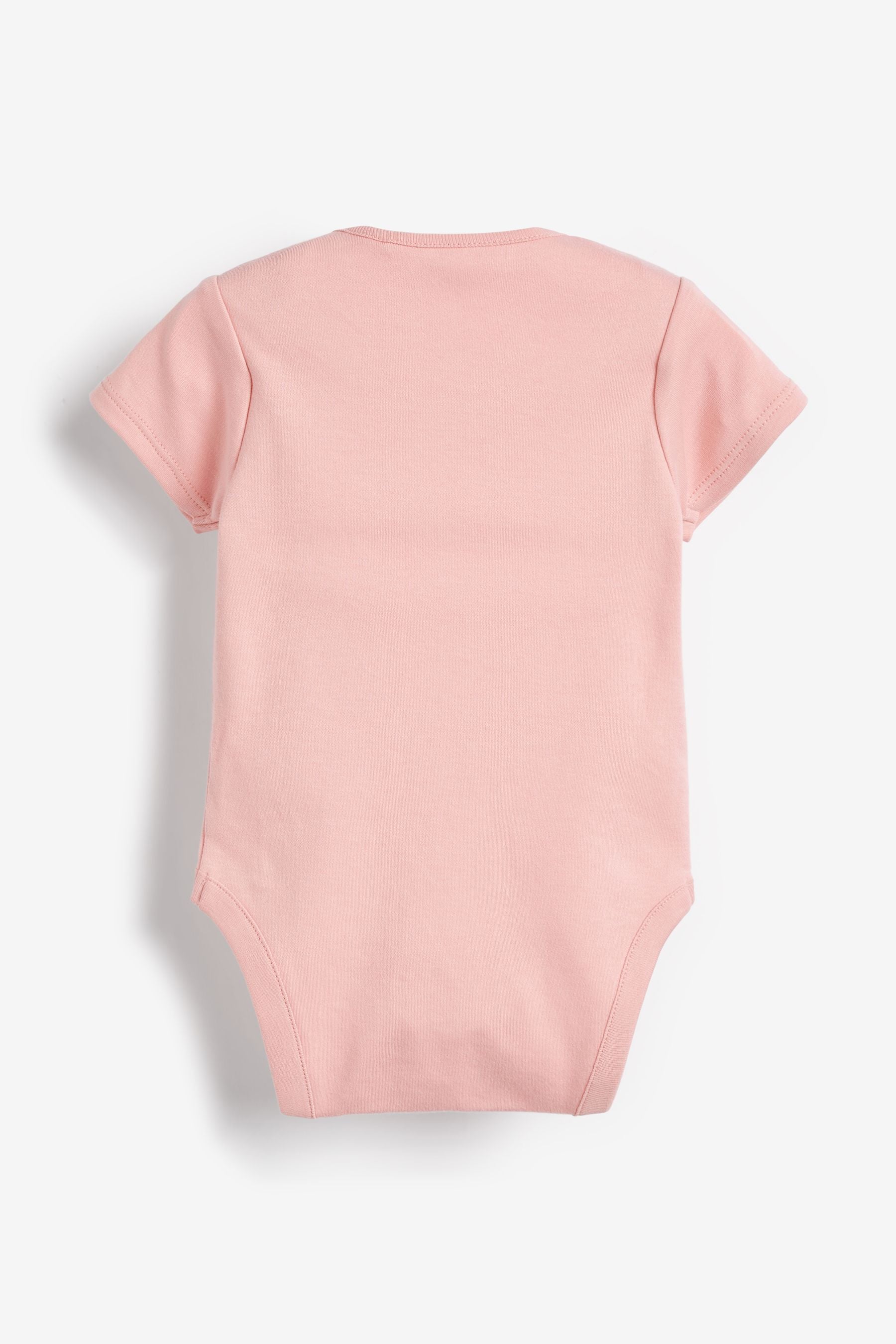 649881s5_3L.jpg