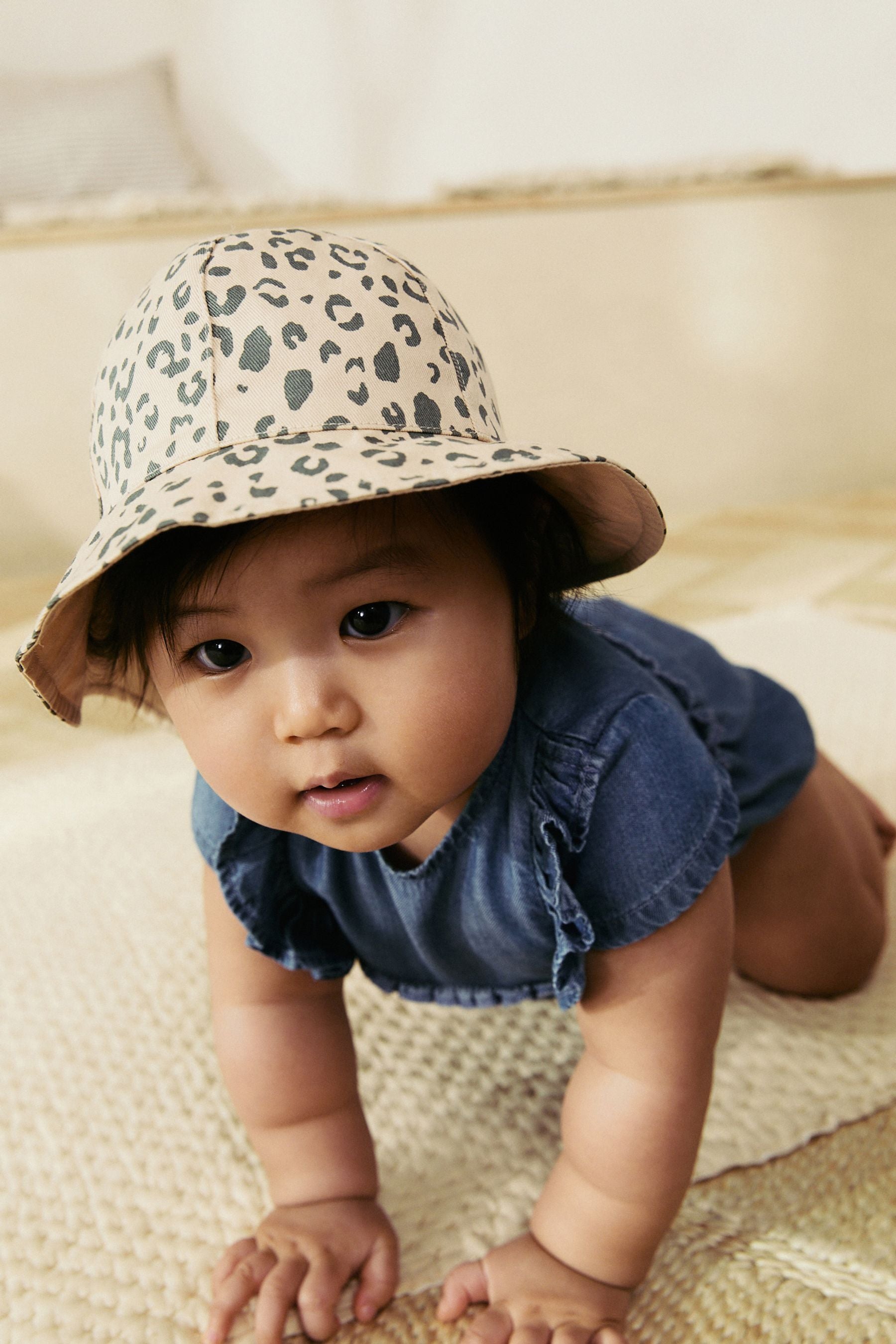AL5684s5_3L.jpg