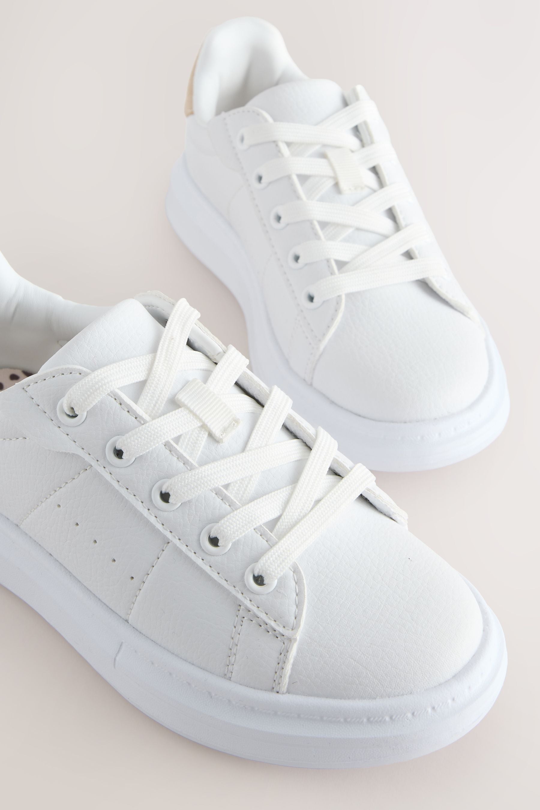AM8689s5_3L.jpg