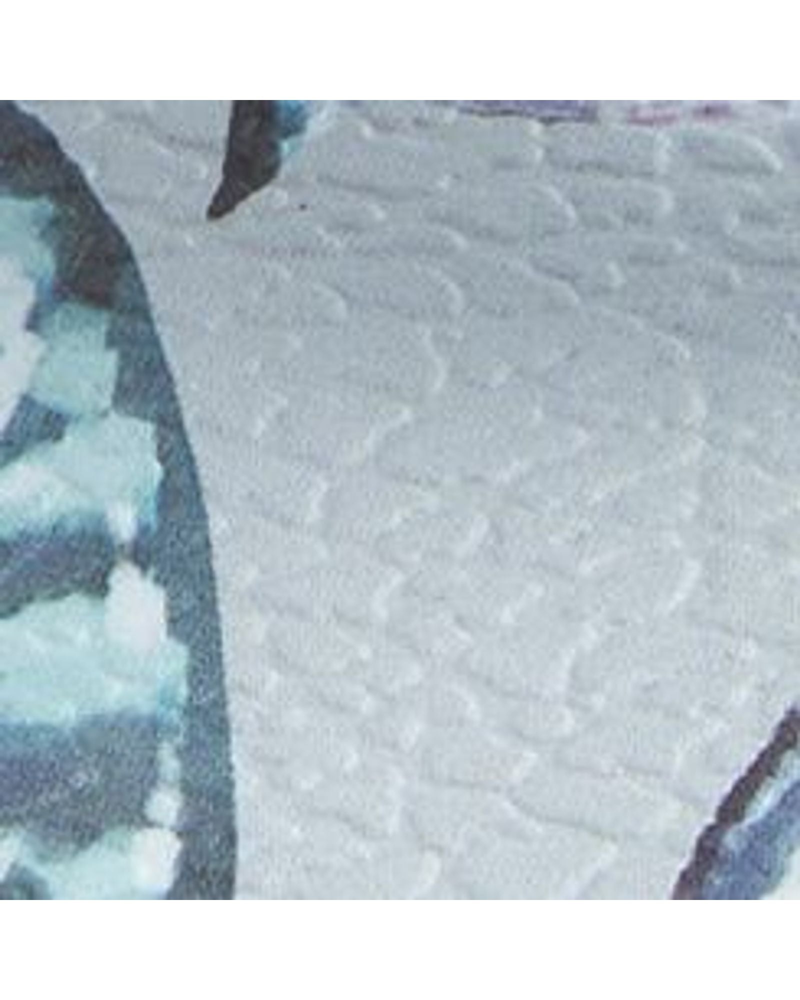 C43497s7.jpg