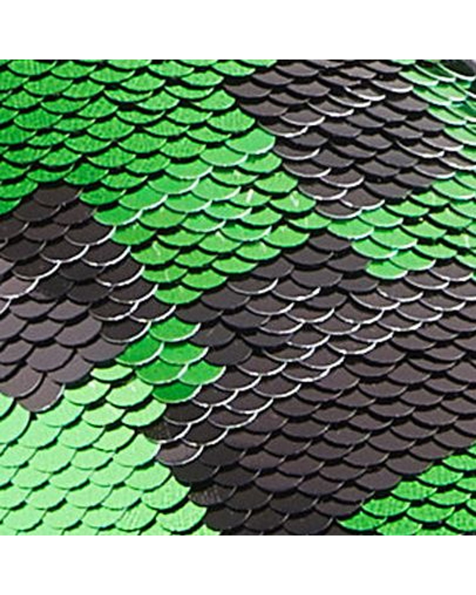 D89821s5.jpg