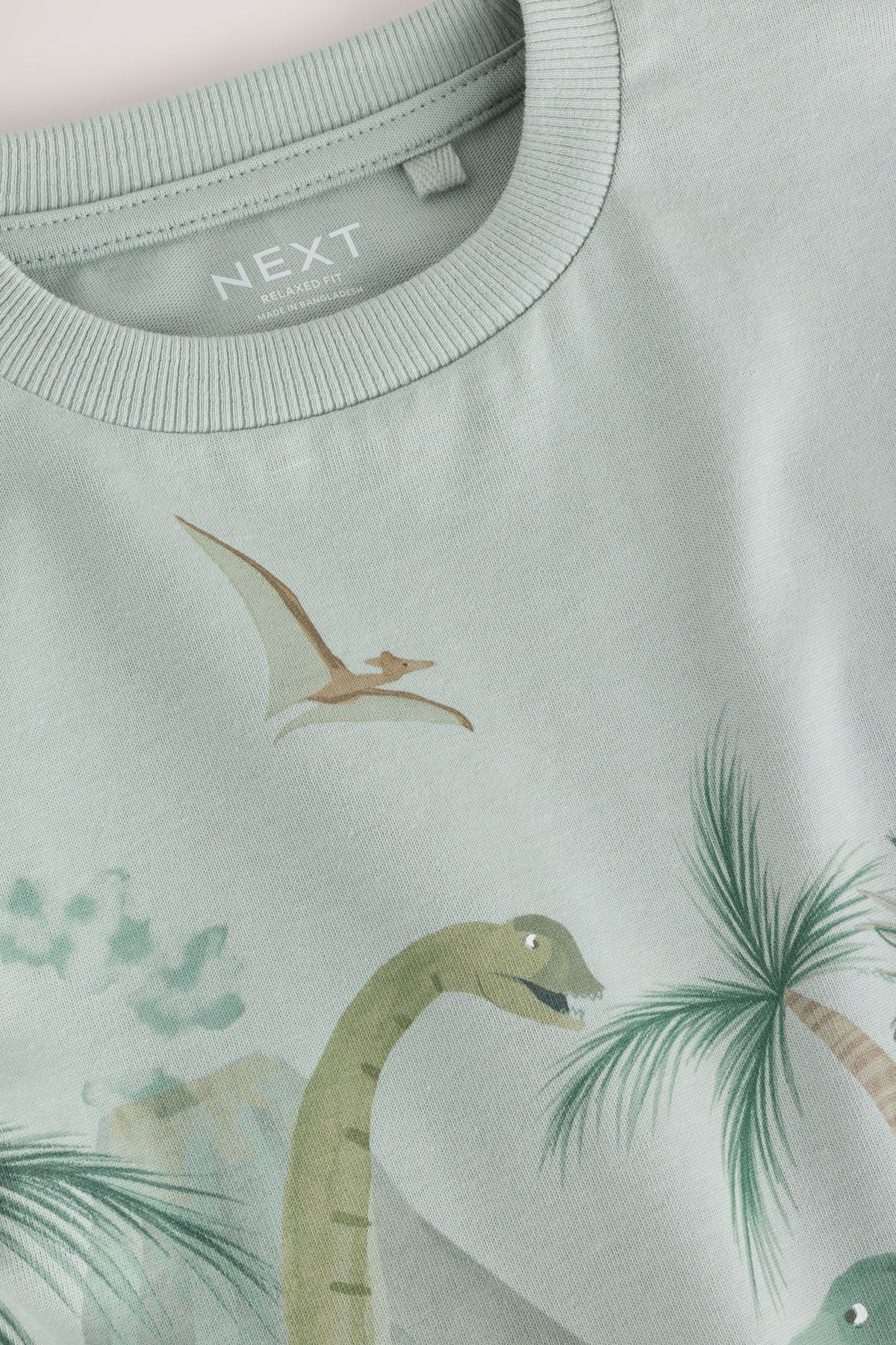 Tricou cu mânecă lungă cu imprimeu dinozaur în acuarelă verde deschis - Verde deschis, Băieți, 3-6 luni - 6-7 ani, NEXT - imagine 3