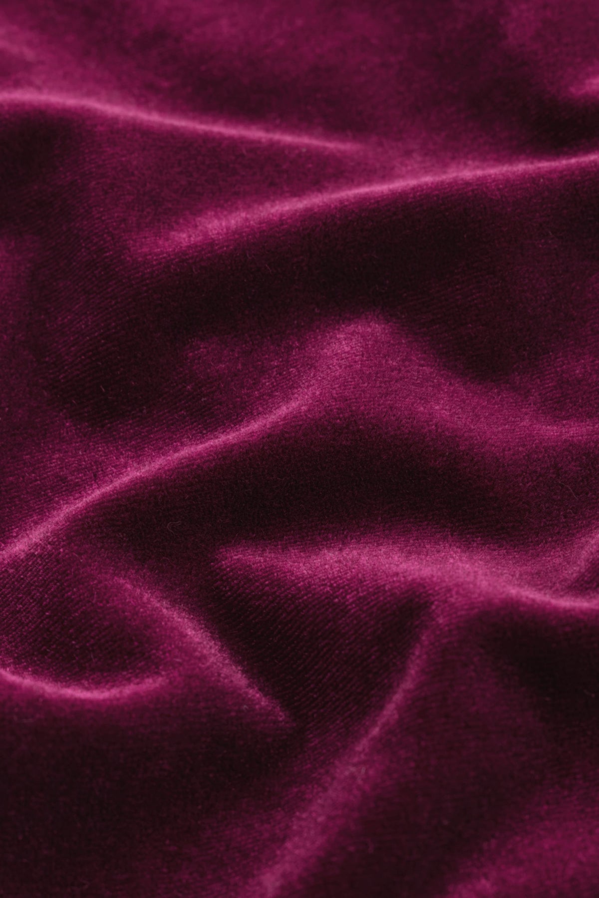 G28598s9_3L.jpg