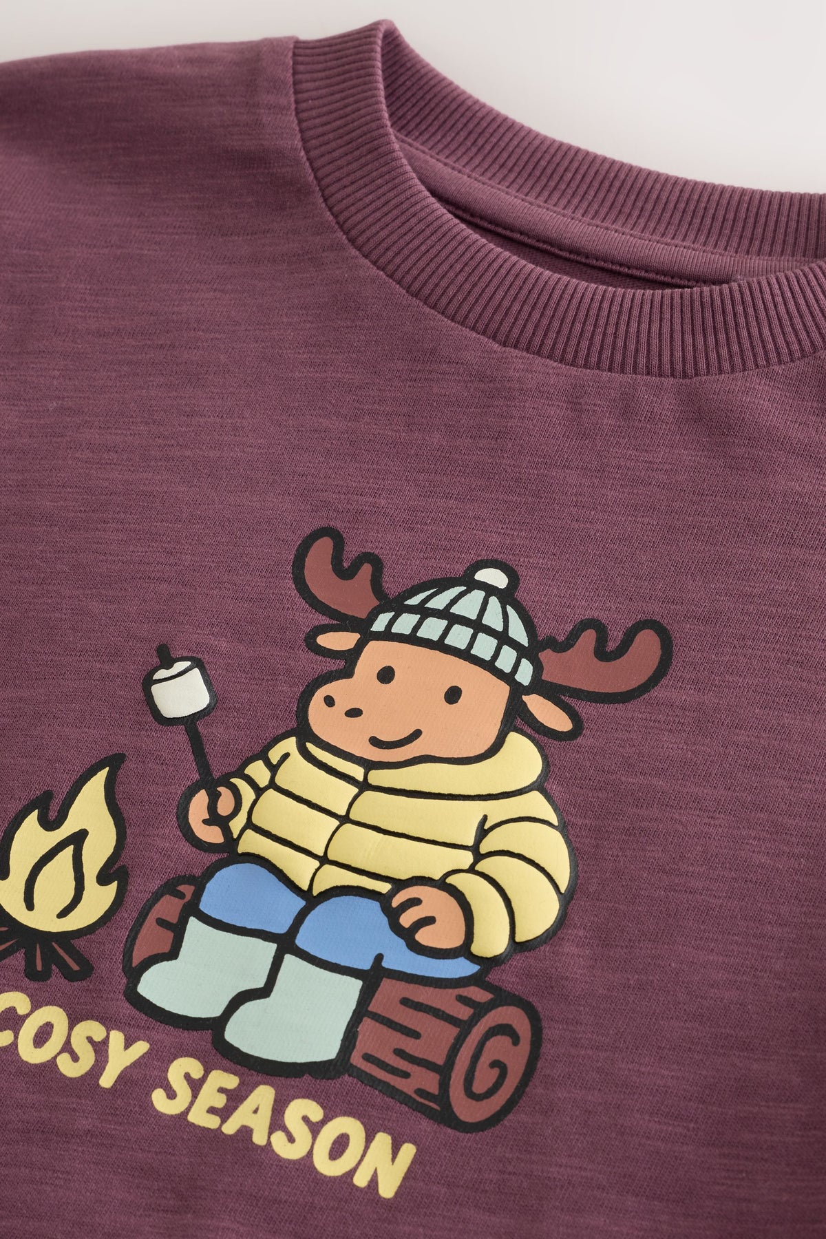 Tricou cu mânecă lungă și imprimeu elan Cosy Season – roșu, băieți, 3-6 luni - 6-7 ani, NEXT - imagine 10