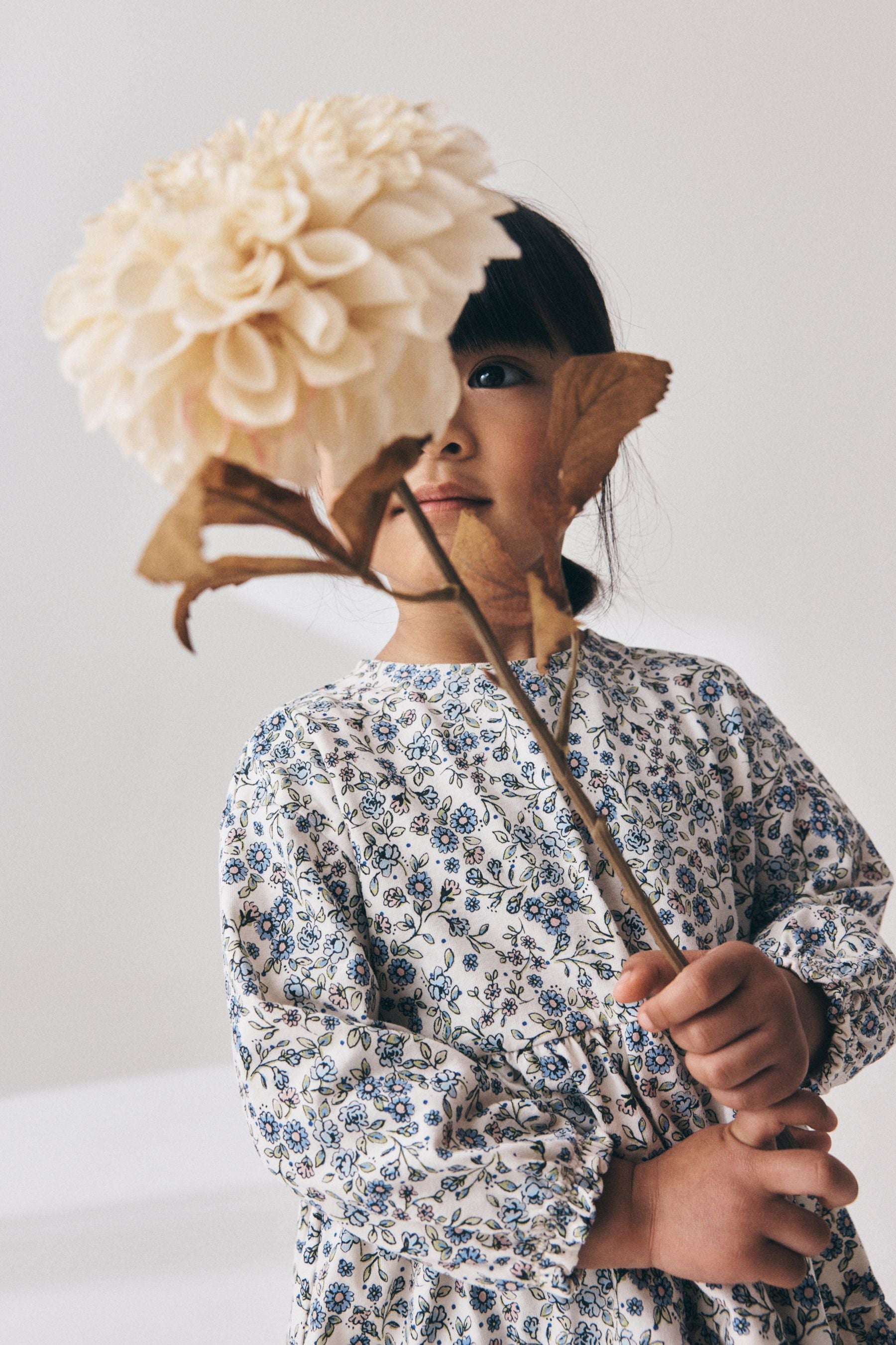 W17459s7_3L.jpg