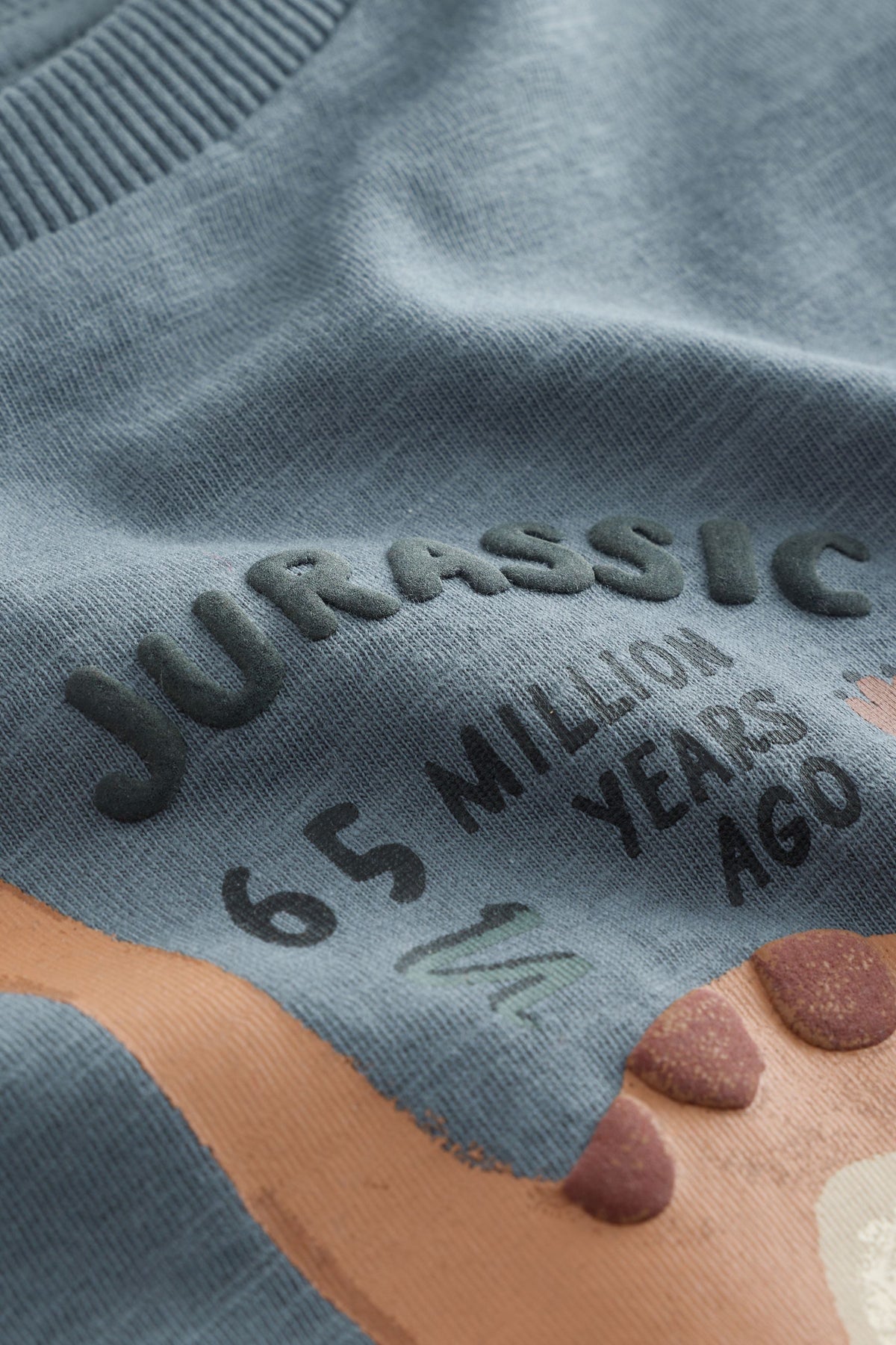 Tricou cu mânecă lungă și imprimeu dinozaur Jurassic Vibes – gri, băieți, 3-6 luni - 6-7 ani, NEXT - imagine 5