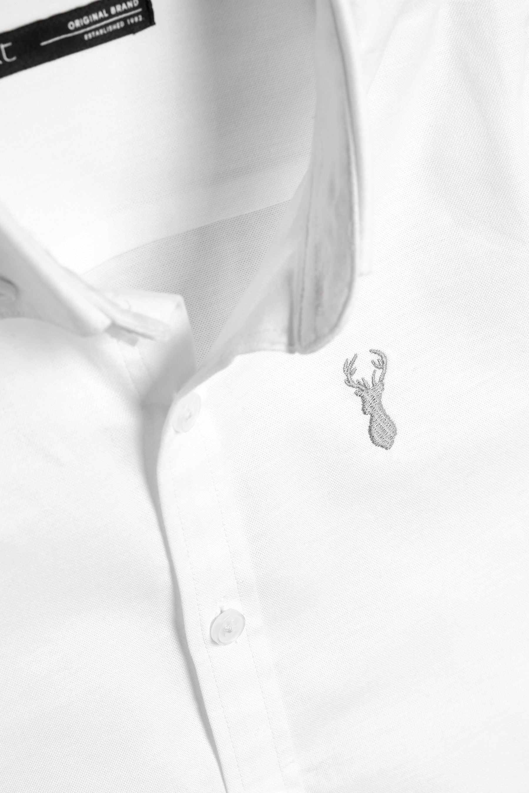 514066s5_3L.jpg