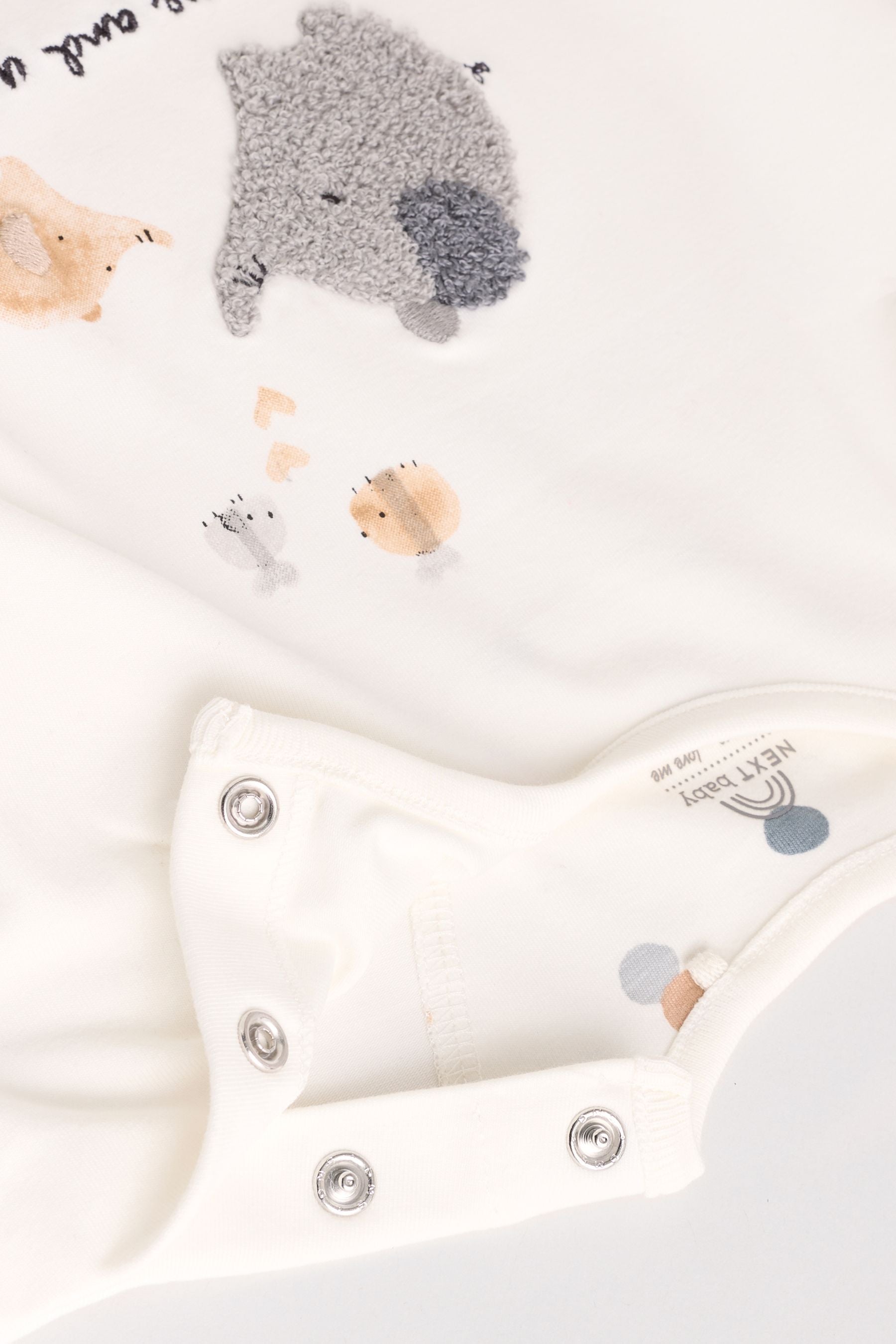 AY9639s7_3L (1).jpg