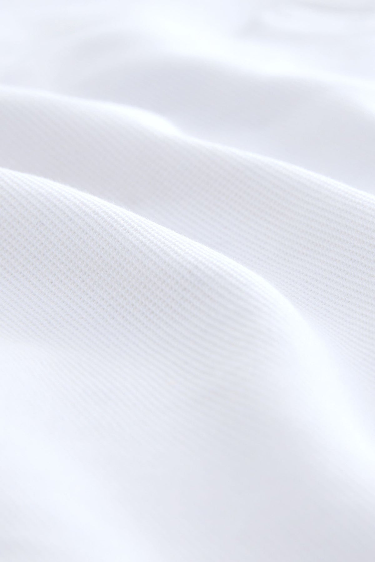F41102s5_3L.jpg