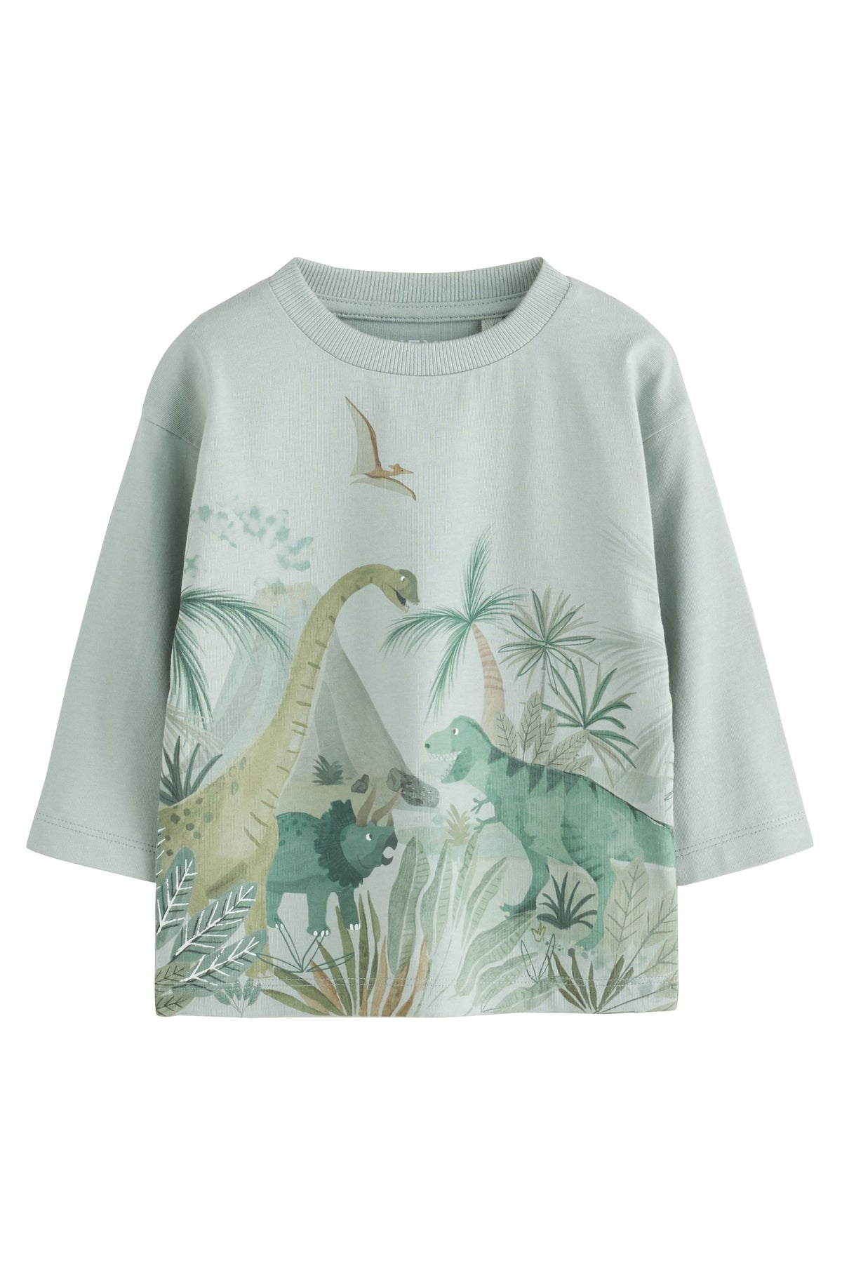 Tricou cu mânecă lungă cu imprimeu dinozaur în acuarelă verde deschis - Verde deschis, Băieți, 3-6 luni - 6-7 ani, NEXT - imagine 5