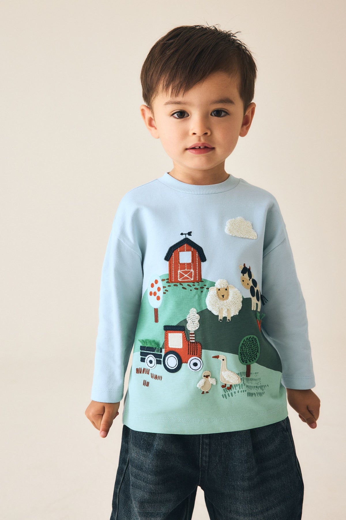 Tricou cu mânecă lungă Appliqué Peisaj Ferma Albastru - Albastru, Băieți, 3-6 luni - 6-7 ani, NEXT