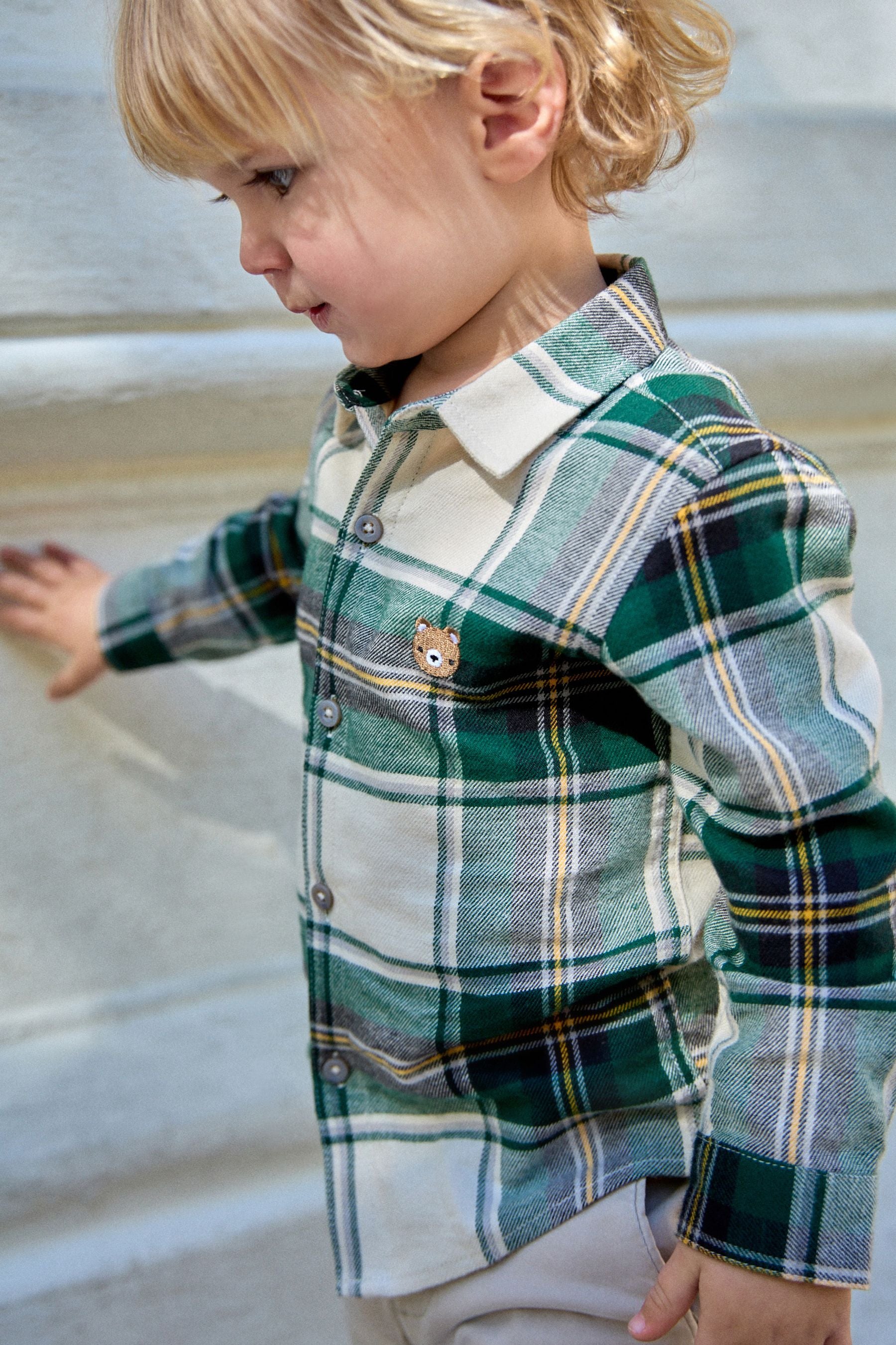 G68436s6_3L.jpg