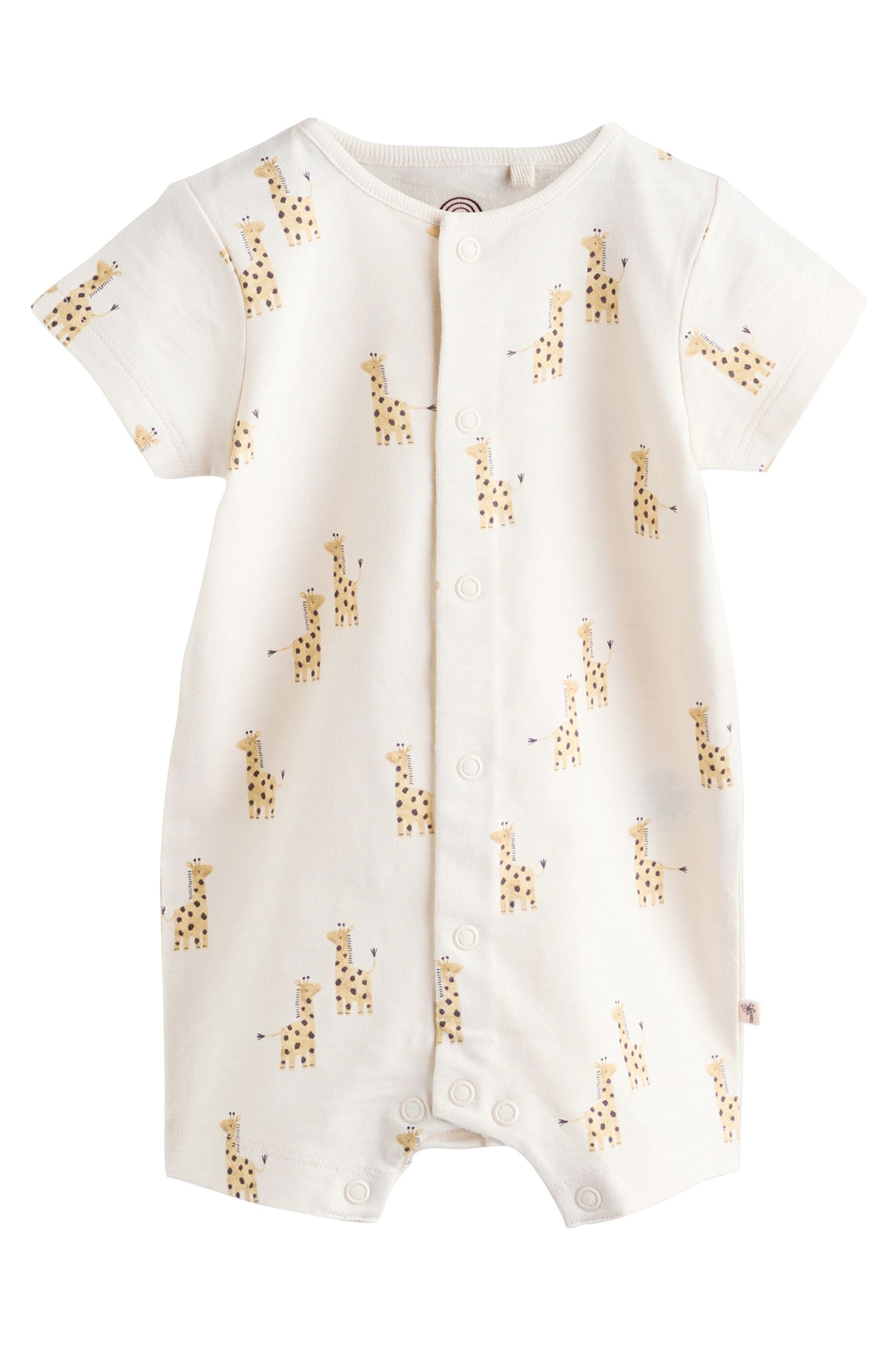 H54544s5_3L (2).jpg