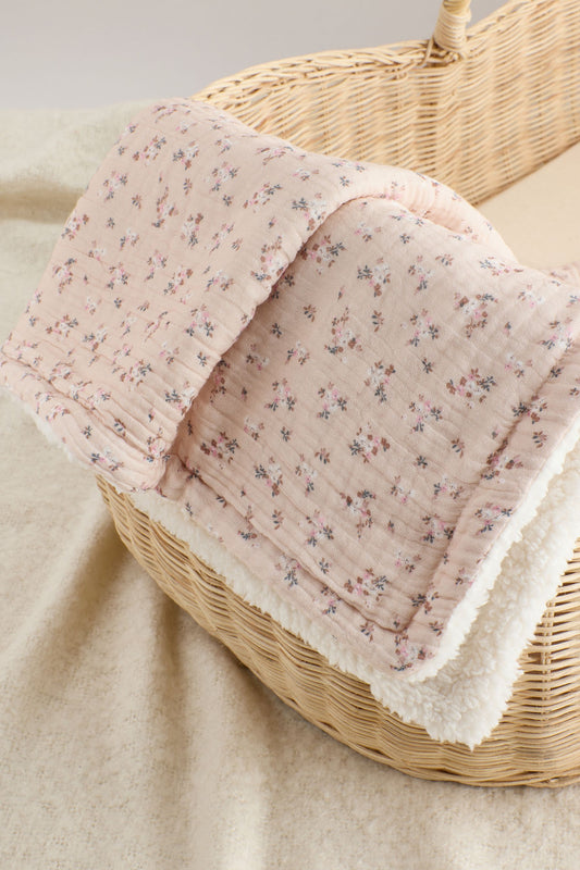 V73095s1_3L (1).jpg